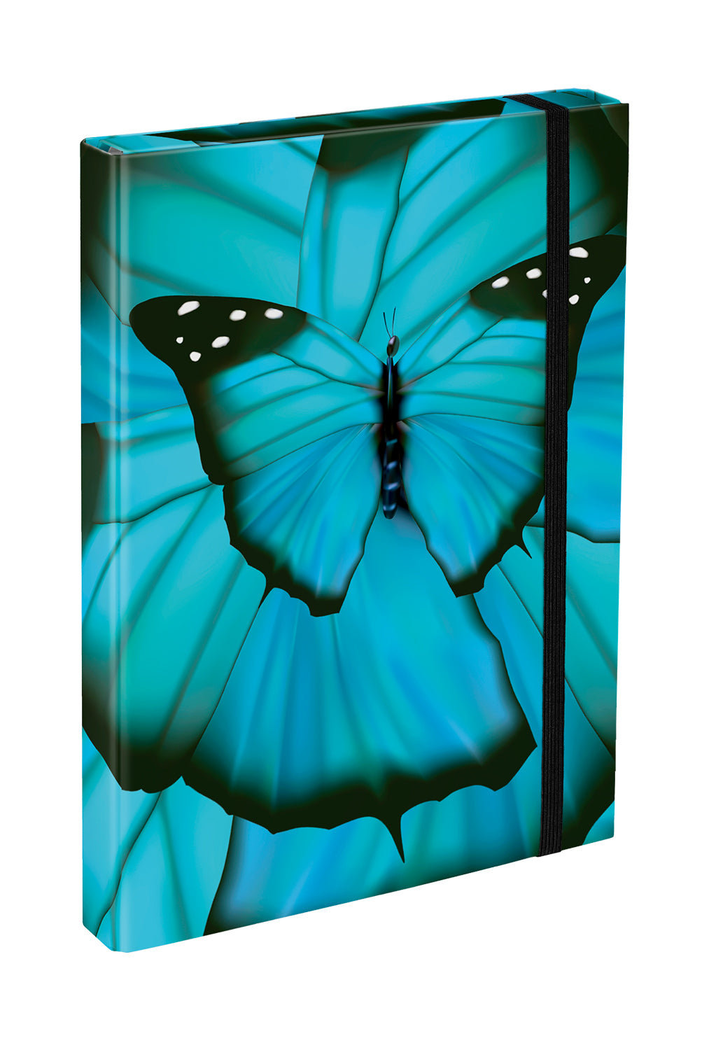 Desky na školní sešity A4 Butterfly – detail výrobku