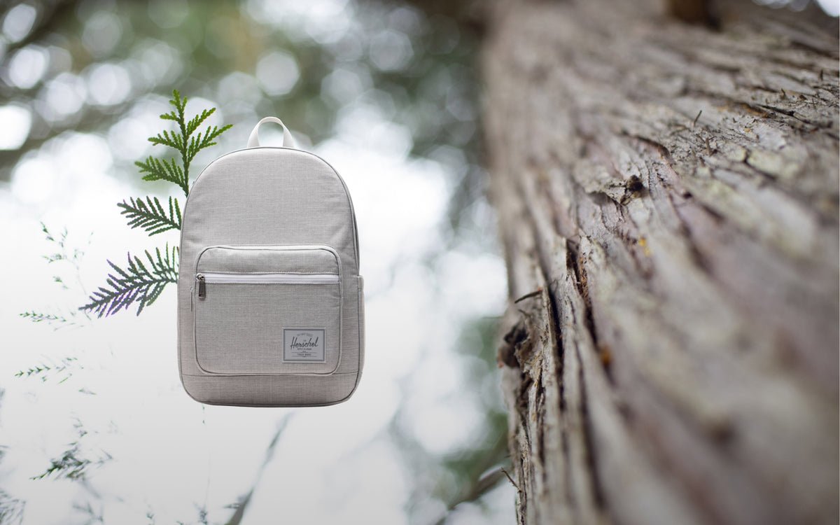 Herschel Pop Quiz – pohled 2