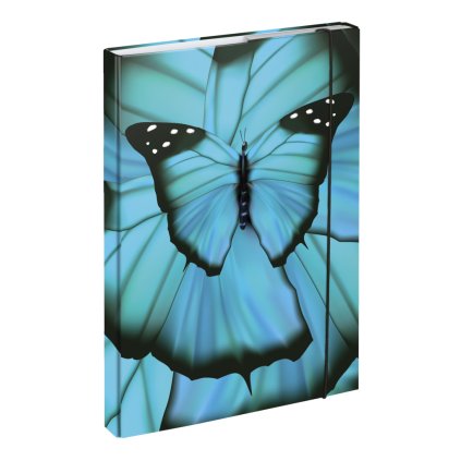 347753 baagl desky na skolni sesity a4 butterfly