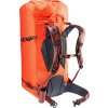 3364223 9513 Durascent42plus10SL papaya redwood D 07