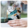 termoska na jidlo whim quokka 600 ml tropical xd q40113 02