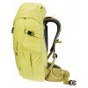 3611024 1208 Climber22 sprout linden D 04 (1)