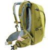 3200124 1203 TransAlpine24 sprout cactus D 12