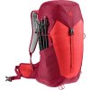 3421024 5598 ACLite30 cherry masala D 10