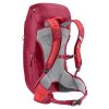 3421024 5598 ACLite30 cherry masala D 03