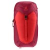 3421024 5598 ACLite30 cherry masala D 05