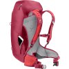 3421024 5598 ACLite30 cherry masala D 07