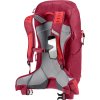 3421024 5598 ACLite30 cherry masala D 08