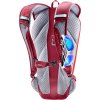 deuter Road One cherry-masala