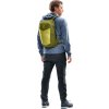 deuter Speed Lite 17 linden-cactus