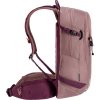 deuter Freerider 22 SL ashrose-cassis
