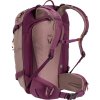 deuter Freerider 22 SL ashrose-cassis