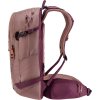 deuter Freerider 22 SL ashrose-cassis