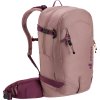 deuter Freerider 22 SL ashrose-cassis