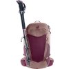 deuter Futura 25 SL cassis-ashrose