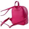 delaney grace raspberry 5 l p16462 03