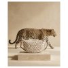 zwei m70 m70leo fashion 0193