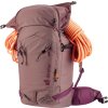 deuter Freerider Pro 30+10 SL ashrose-cassis