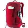 deuter Futura 23 cherry-masala