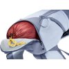 deuter Futura Pro 30 SL polar-bluejay
