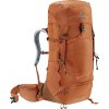 deuter Aircontact Lite 35 + 10 SL pecan-mocha