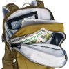deuter Gigant kelp-nori