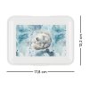 BAAGL Box na svačinu Polar – produktová fotografie 2